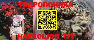 таблы Тара